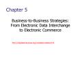 BusinesstoBusiness Strategies: From Electronic Data Interchange to Electronic Commerce PowerPoint PPT Presentation