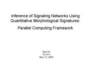 Challenges in Describing Signaling Networks