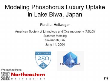 Modeling Phosphorus Luxury Uptake in Lake Biwa, Japan