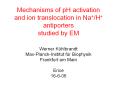 Mechanisms of pH activation and ion translocation in Na /H  antiporters studied by EM PowerPoint PPT Presentation