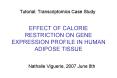 EFFECT OF CALORIE RESTRICTION ON GENE EXPRESSION PROFILE IN HUMAN ADIPOSE TISSUE PowerPoint PPT Presentation