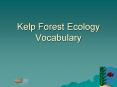 Kelp Forest Ecology Vocabulary PowerPoint PPT Presentation