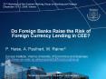 Do Foreign Banks Raise the Risk of Foreign Currency Lending in CEE? PowerPoint PPT Presentation