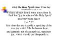 Only the Holy Spirit Gives True Joy General audience of June 19, 1991 PowerPoint PPT Presentation