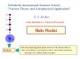 Halo Nuclei PowerPoint PPT Presentation