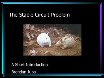 The Stable Circuit Problem