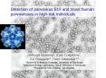 Detection of parvovirus B19 and novel human parvoviruses in highrisk individuals PowerPoint PPT Presentation