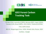 GEO Forest Carbon Tracking Task