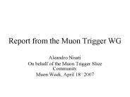 Report from the Muon Trigger WG