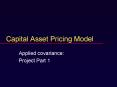 Capital Asset Pricing Model PowerPoint PPT Presentation