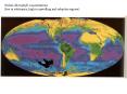 Global chlorophyll concentrations PowerPoint PPT Presentation