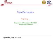Spin Electronics
