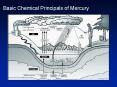 Basic Chemical Principals of Mercury PowerPoint PPT Presentation