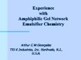 Experience with Amphiphilic Gel Network Emulsifier Chemistry PowerPoint PPT Presentation