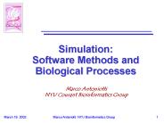 Simulation: Software Methods and Biological Processes
