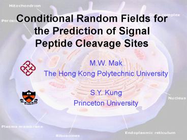 Conditional Random Fields for the Prediction of Signal Peptide Cleavage Sites