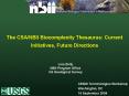 CSA/NBII Biocomplexity Thesaurus: Current Initiatives, Future Directions PowerPoint PPT Presentation