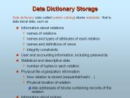 Data Dictionary Storage