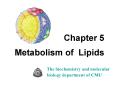 Chapter 5 Metabolism of Lipids PowerPoint PPT Presentation