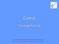 Captive PowerPoint PPT Presentation