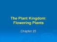 The Plant Kingdom: Flowering Plants PowerPoint PPT Presentation