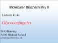 Molecular Biochemistry II PowerPoint PPT Presentation