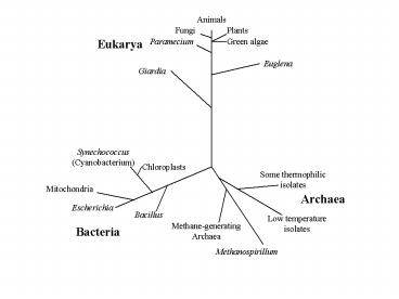 Why Study Continental Aquatic Systems