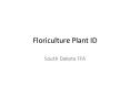 Floriculture Plant ID PowerPoint PPT Presentation