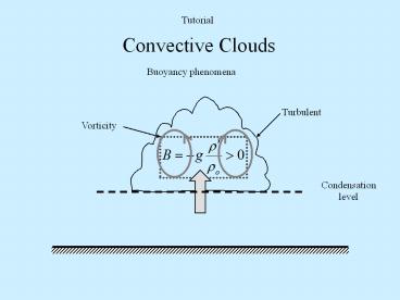 Convective Clouds
