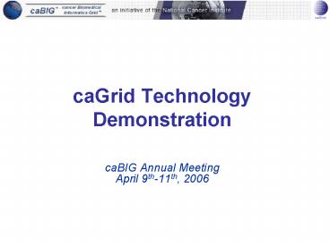 caGrid Technology Demonstration