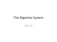 The Digestive System PowerPoint PPT Presentation