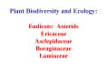 Plant Biodiversity and Ecology: Eudicots: Asterids Ericaceae Asclepidaceae Boraginaceae Lamiaceae PowerPoint PPT Presentation