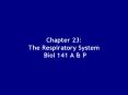 Chapter 23: The Respiratory System Biol 141 A PowerPoint PPT Presentation