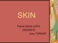 SKIN PowerPoint PPT Presentation