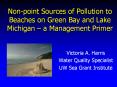 Non-point Sources of Pollution to Beaches on Green Bay and Lake Michigan  PowerPoint PPT Presentation