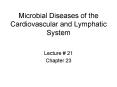 Microbial Diseases of the Cardiovascular and Lymphatic System PowerPoint PPT Presentation
