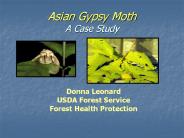 Asian Gypsy Moth A Case Study