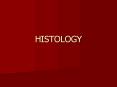 HISTOLOGY PowerPoint PPT Presentation