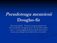 Pseudotsuga%20menziesii%20Douglas-fir PowerPoint PPT Presentation