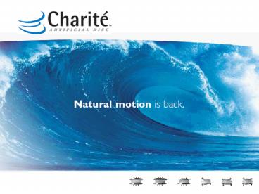 The CHARIT Artificial Disc