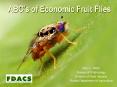 ABC's of Economic Fruit Flies PowerPoint PPT Presentation
