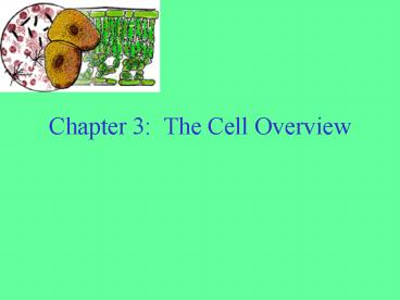 Chapter 3: The Cell Overview
