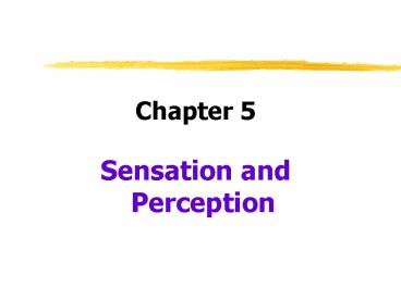 Sensation and Perception