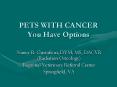 PETS WITH CANCER You Have Options PowerPoint PPT Presentation
