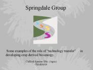 Springdale Group