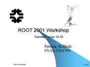 ROOT 2001 Workshop Fermilab June 1315