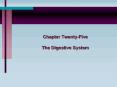 Chapter Twenty-Five The Digestive System PowerPoint PPT Presentation