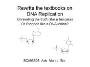 Rewrite the textbooks on DNA Replication