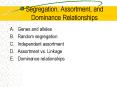 Segregation, Assortment, and Dominance Relationships PowerPoint PPT Presentation