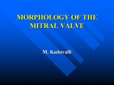 MORPHOLOGY OF THE MITRAL VALVE